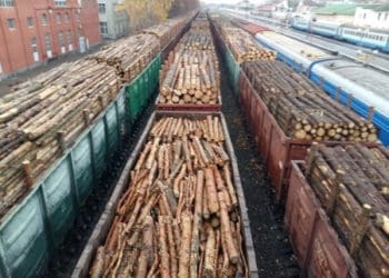 Українцям безкоштовно роздадуть 5000 вагонів дров: мешканцям Тернопільщини – ні