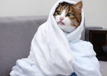 Різку зміну погоди прогнозують наступного тижня в Україні