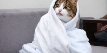 Різку зміну погоди прогнозують наступного тижня в Україні