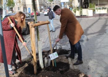 Тернопільська компанія Опілля долучилась до висадки дерев на проспекті Свободи у Львові