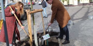 Тернопільська компанія Опілля долучилась до висадки дерев на проспекті Свободи у Львові