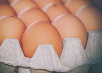 В Союзі птахівників України розповіли, коли здешевшають яйця