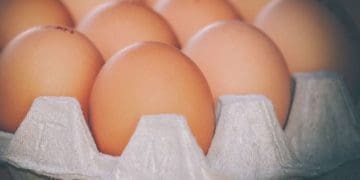 В Союзі птахівників України розповіли, коли здешевшають яйця