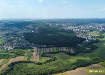 Лошнівська стінка: новий природній заказник створили на Тернопільщині