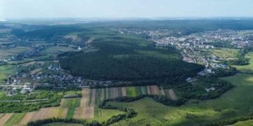 Лошнівська стінка: новий природній заказник створили на Тернопільщині