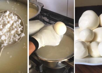 Готуємо домашню моцарелу: рецепт під силу кожній господині