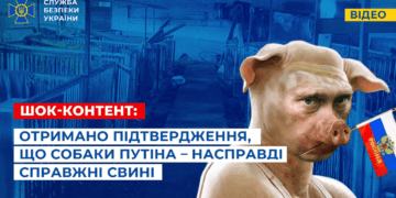 Увага, шок-контент! СБУ отримала беззаперечні докази, що собаки путіна – в житті справжні свині (Відео)