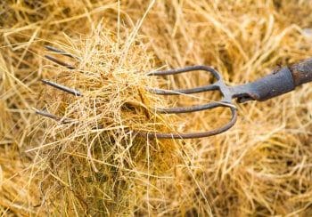 Чоловік встромив вила у шию сусідові у Теребовлянській громаді