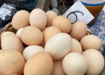 Ціна на яйця лякає: вартість продукту на ринку Тернополя