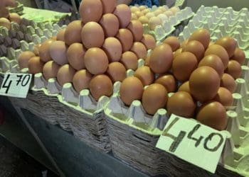 “Золоті” яйця: у Тернополі дорожчає сільськогосподарська продукція