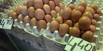 “Золоті” яйця: у Тернополі дорожчає сільськогосподарська продукція