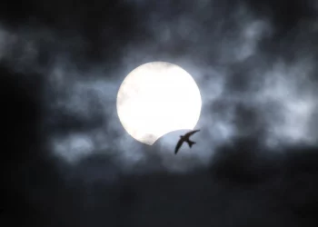 25 жовтня можна спостерігати часткове сонячне затемнення