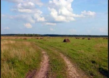 Прокуратура на Тернопільщині вимагає у підприємця звільнити земельні ділянки, вартістю понад 21 млн грн