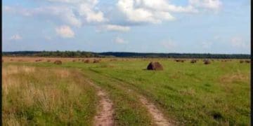 Прокуратура на Тернопільщині вимагає у підприємця звільнити земельні ділянки, вартістю понад 21 млн грн