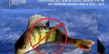 Нові обмеження на Тернопільщини: заборона на лов риби в зимувальних ямах