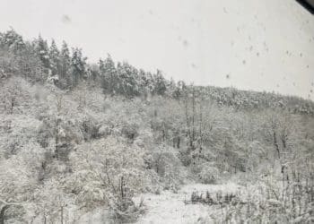 Вид з вікна не гірший, ніж у Швейцарії: вже місяць через Тернопільщину курсує “Дністровський експрес”