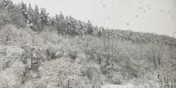 Вид з вікна не гірший, ніж у Швейцарії: вже місяць через Тернопільщину курсує “Дністровський експрес”