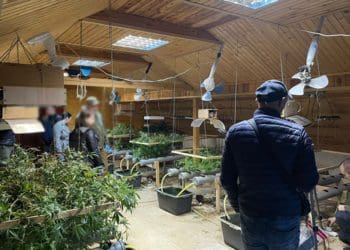 В будинку під Тернополем виявили лабораторію з вирощування та переробки нарковмісних рослин