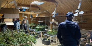 В будинку під Тернополем виявили лабораторію з вирощування та переробки нарковмісних рослин