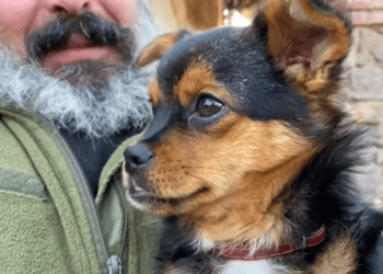 Захисник із Тернопільщини воює разом зі своїм собакою