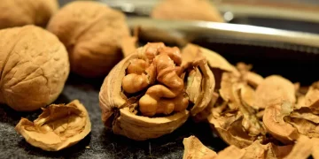 Шкаралупу волоських горіхів не на смітник, а на город: її корисні застосування