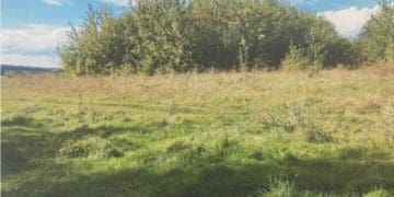 Тернопільська прокуратура “взялася” за міську раду: черговий позов направлено до суду