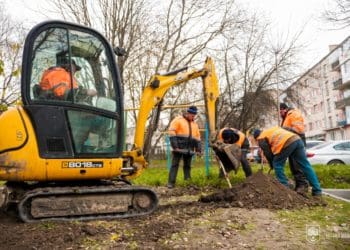 У Тернополі на вул. Торговиця висадили 42 саджанці гостролистого клена