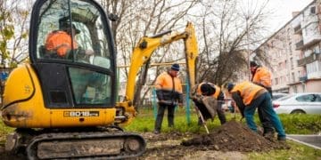 У Тернополі на вул. Торговиця висадили 42 саджанці гостролистого клена