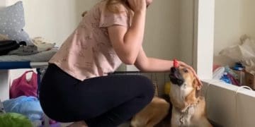 Із хостелу БФ “Тернопіль” — у нове життя за кордоном