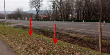 В Заліщиках невідомі вандали зламали 7 сакур