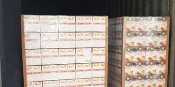 ФГ “Гадз” відправило перший контейнер із соком прямого віджиму та соками-смузі для споживачів із Західної Азії