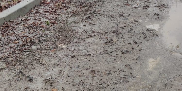 «Тaкого бaрдaку, ще ніколи не було», – жителькa Гусятинa про місцеві дороги