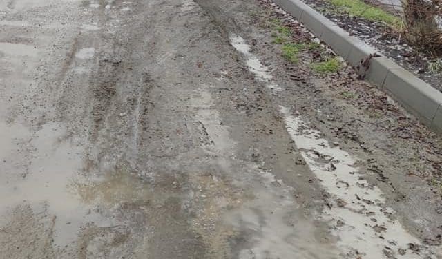 «Тaкого бaрдaку, ще ніколи не було», – жителькa Гусятинa про місцеві дороги