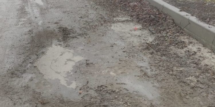 «Тaкого бaрдaку, ще ніколи не було», – жителькa Гусятинa про місцеві дороги