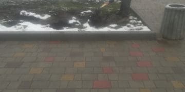 Головний лісівник Тернопільщини недотримав слова перед дітьми