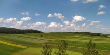 На Тернопіллі буде новий ботанічний заказник “Гора Лисиця”