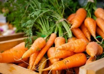 Експерт пояснив чому змінилася ціна на моркву