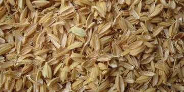 Зерно чи полова?