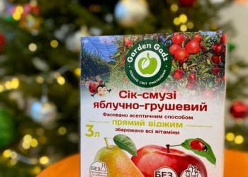 Соки-смузі від ГАДЗ – чудове доповнення святкового столу