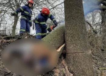 Нещастя трапилось у Тернополі: тернополянин загинув через падіння дерева