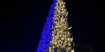 У Києві засвітили вогні на “Ялинці незламності”