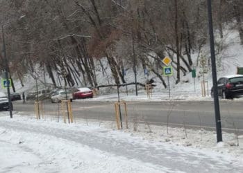 Завтра на Тернопільщині можливий крижаний дощ, – Сергій Надал