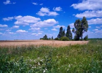 Таємниця Заздрістьського каменя
