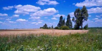 Таємниця Заздрістьського каменя