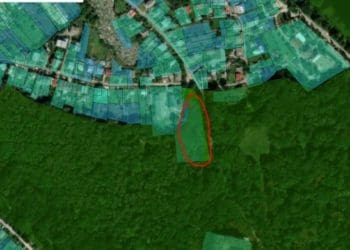 У тернопільському парку “Загребелля” планується будівництво. Без проведення аукціону