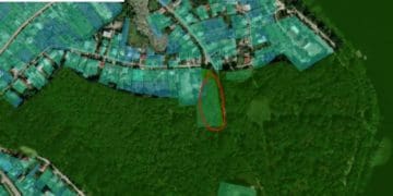 У тернопільському парку “Загребелля” планується будівництво. Без проведення аукціону