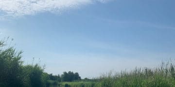 Тернопільська міська рада незаконно володіє 10 га земель гідрологічного заказника “Серетський”