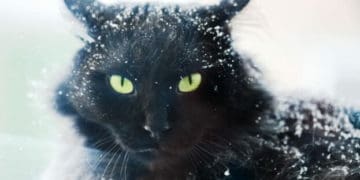 В Україну повертаються морози