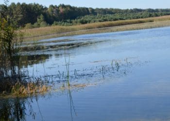 Прокуратура повертає Борсуківській громаді майно вартістю понад 120 млн грн