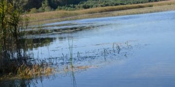 Прокуратура повертає Борсуківській громаді майно вартістю понад 120 млн грн